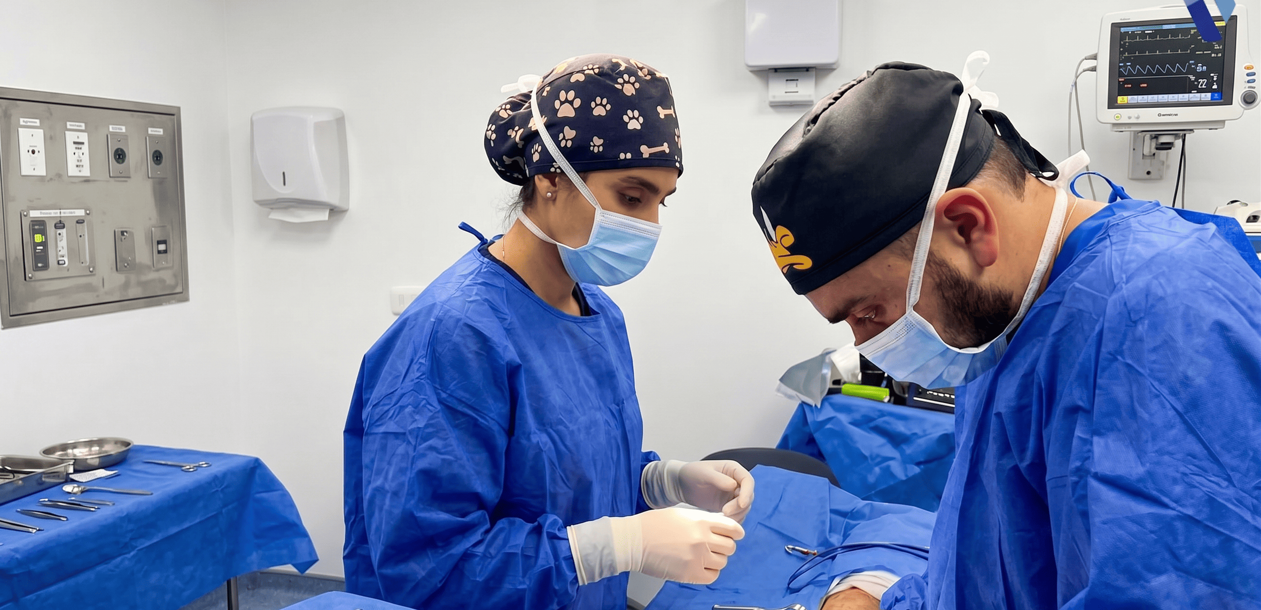 Veterinarios cuidando mascotas
