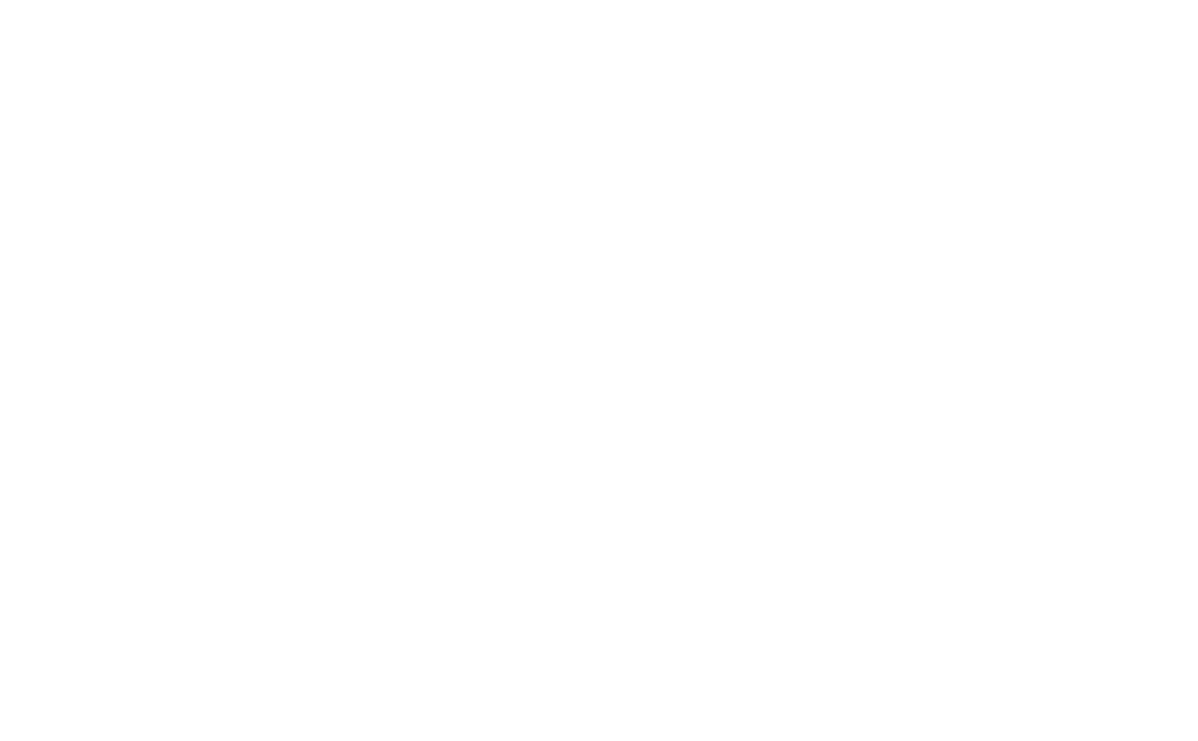 VetLevel