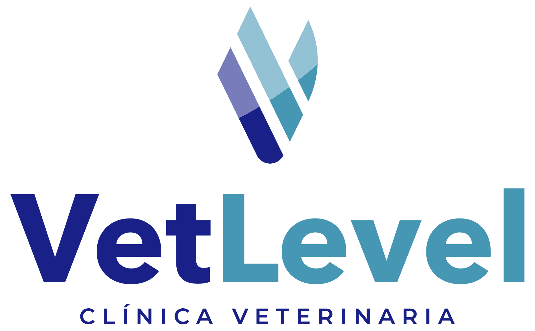 VetLevel